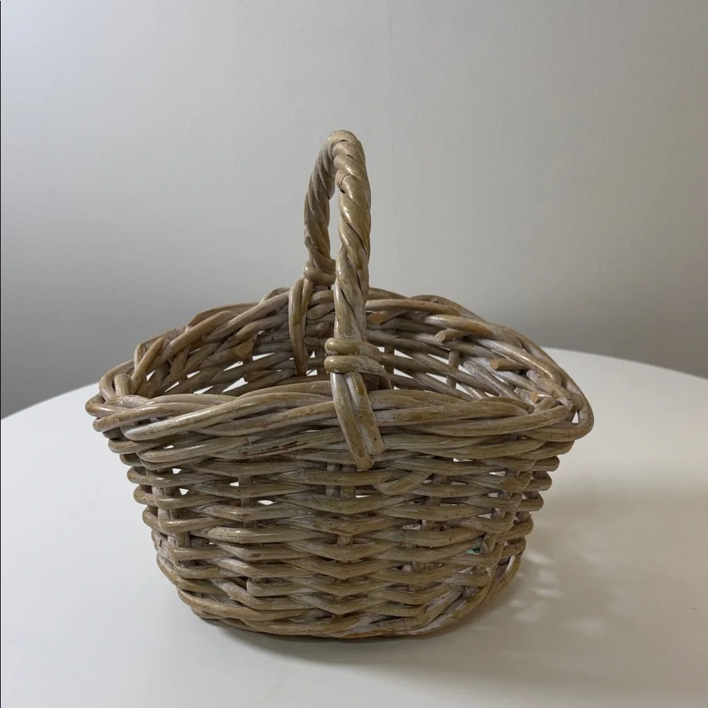 Woven Natural Rattan Storage Basket with Single Handle -‎ Beige/Tan